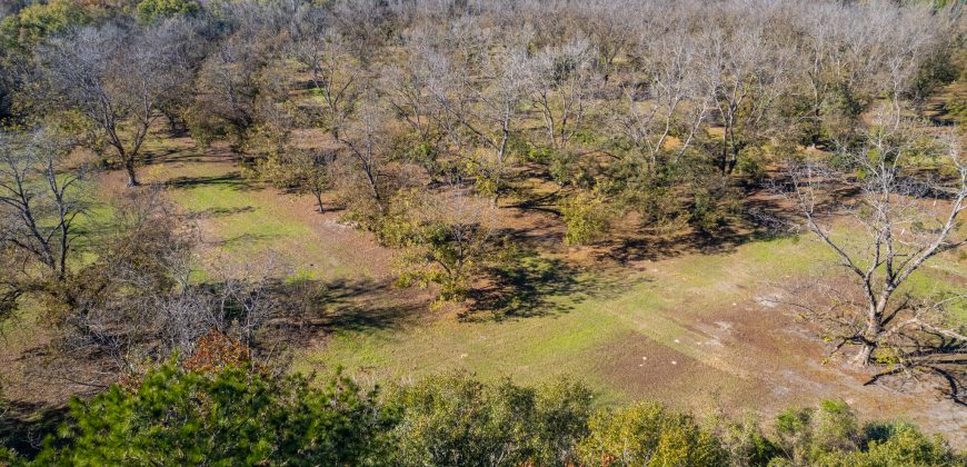 Lee County Pecan Orchard