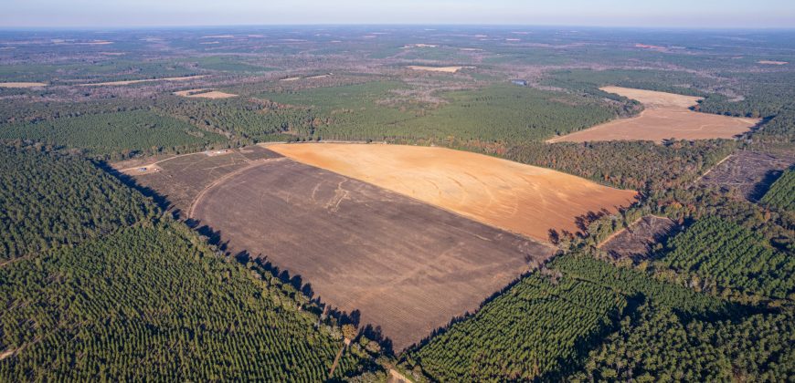 Randolph Irrigated Farm