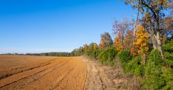 Randolph Irrigated Farm