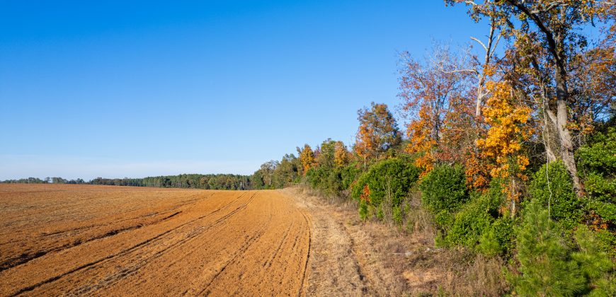 Randolph Irrigated Farm