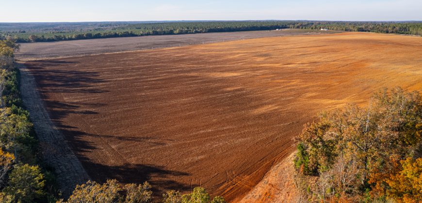 Randolph Irrigated Farm