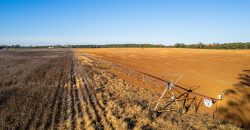 Randolph Irrigated Farm