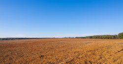 Randolph Irrigated Farm