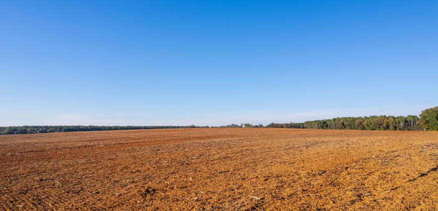 Randolph Irrigated Farm