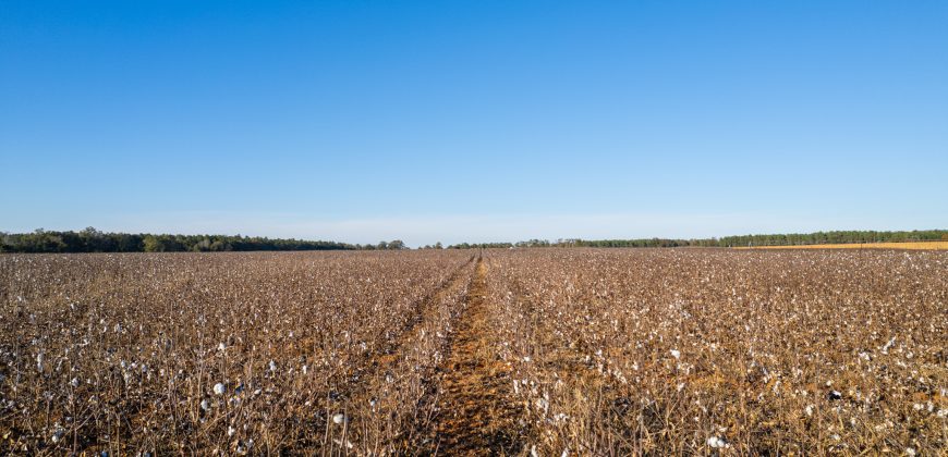 Randolph Irrigated Farm