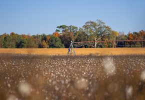 Randolph Irrigated Farm