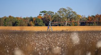 Randolph Irrigated Farm