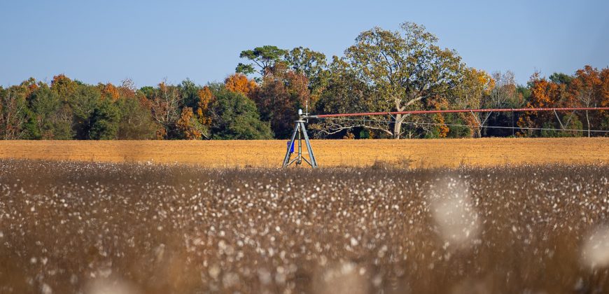 Randolph Irrigated Farm