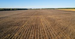 Randolph Irrigated Farm