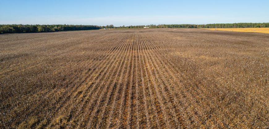 Randolph Irrigated Farm