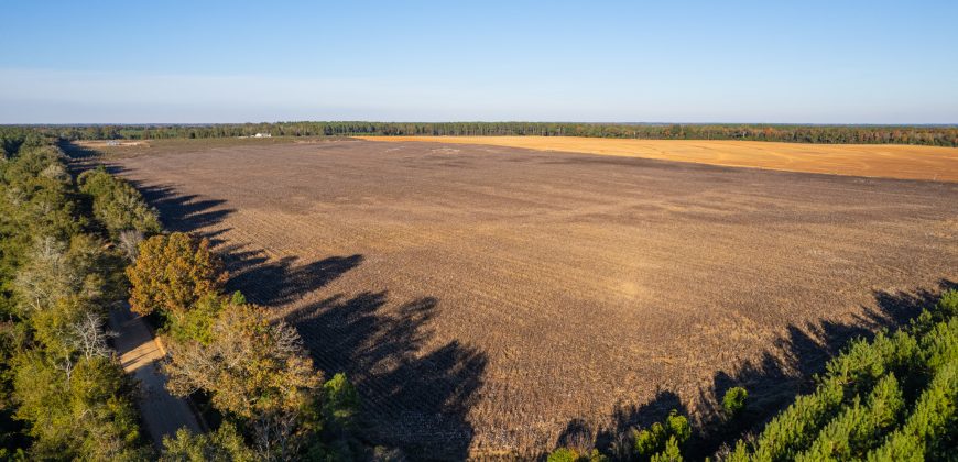 Randolph Irrigated Farm