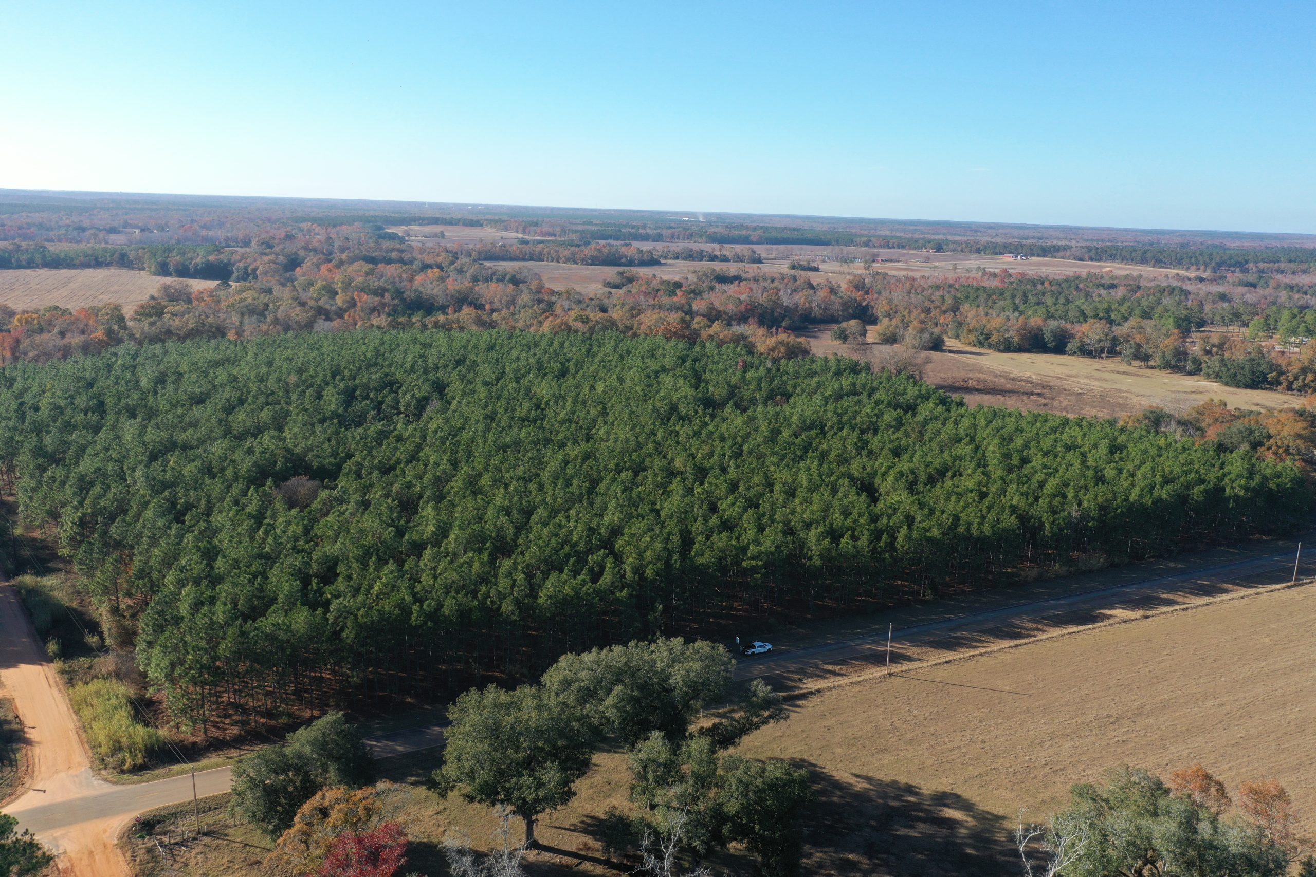 Early County Five Bridges Farm