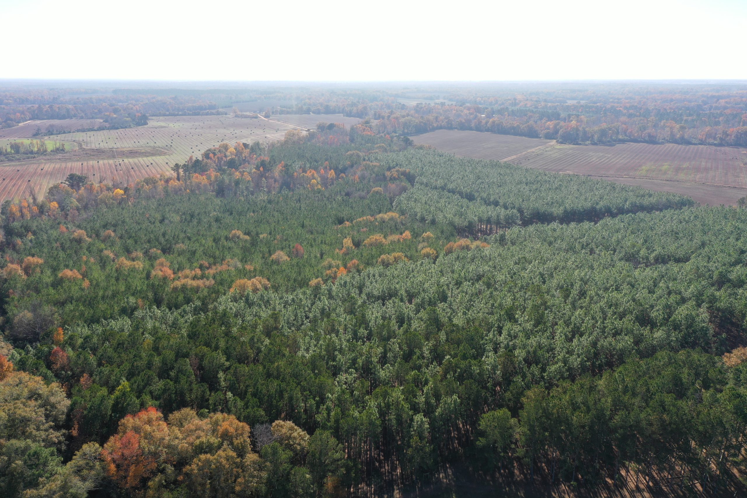 Calhoun Vincent Road Farm