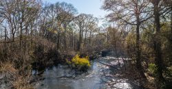 The Flint Corridor