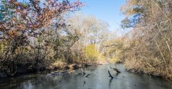 The Flint Corridor