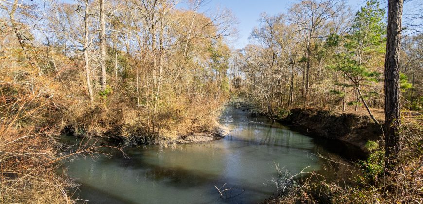 The Flint Corridor