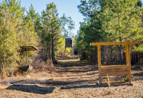 The Flint Corridor