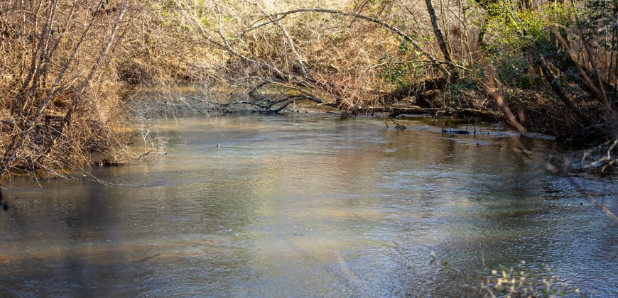 The Flint Corridor