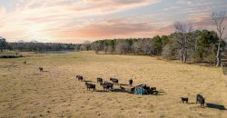 Terrell County Red Barn Farm