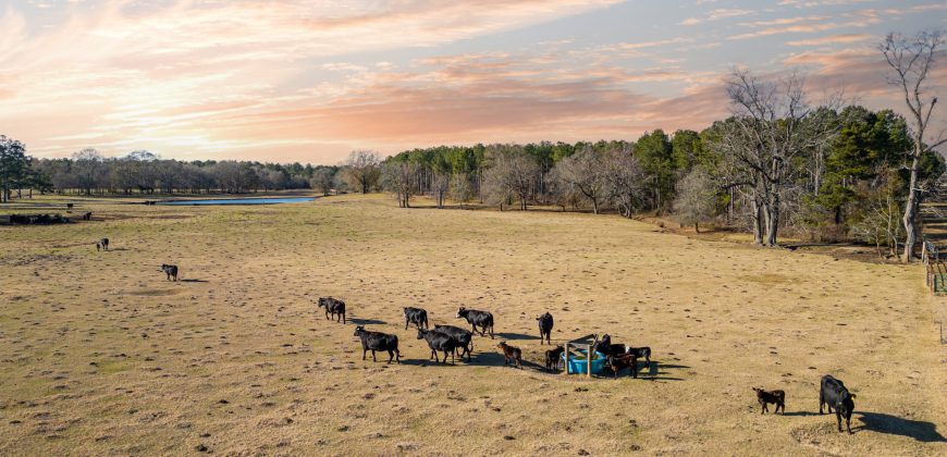 Terrell County Red Barn Farm