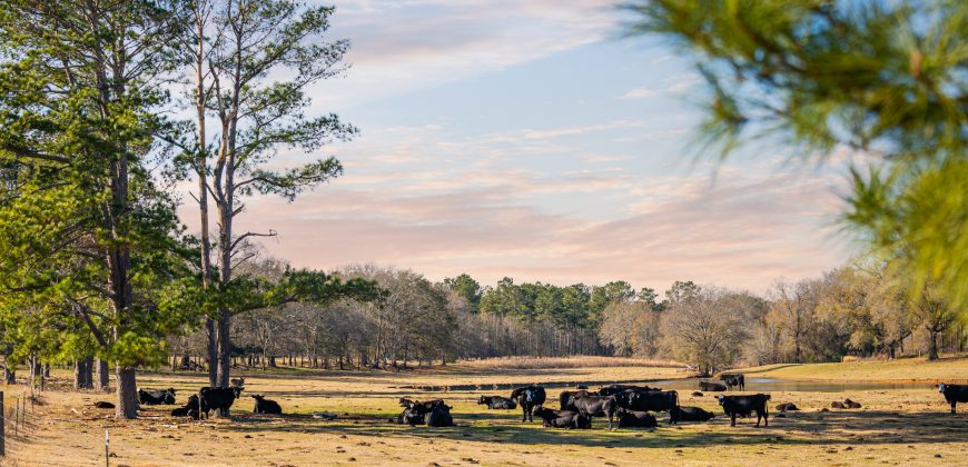 Terrell County Red Barn Farm