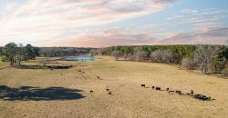 Terrell County Red Barn Farm