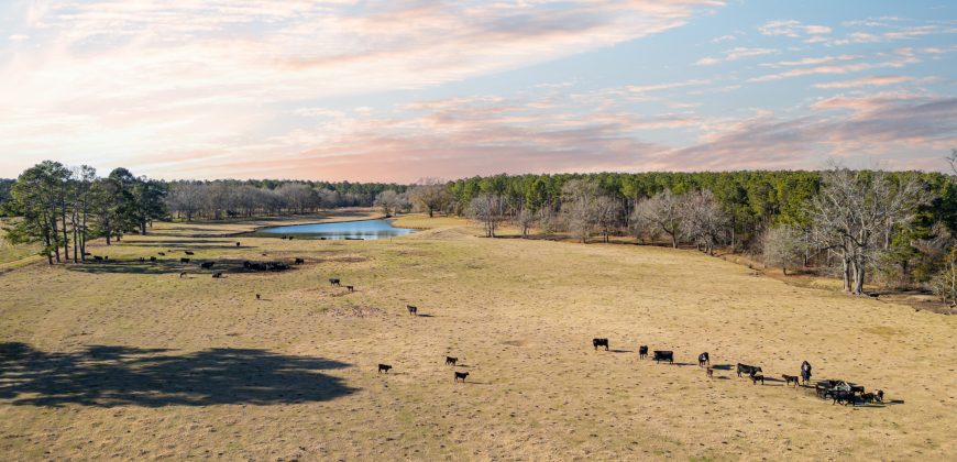 Terrell County Red Barn Farm