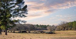 Terrell County Red Barn Farm