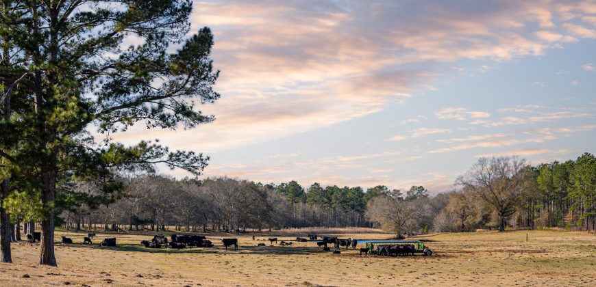 Terrell County Red Barn Farm