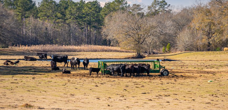 Terrell County Red Barn Farm