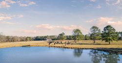 Terrell County Red Barn Farm