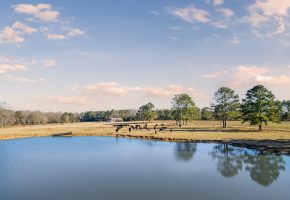 Terrell County Red Barn Farm