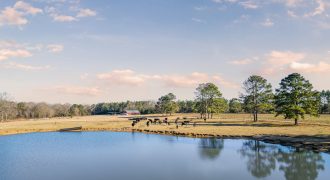 Terrell County Red Barn Farm