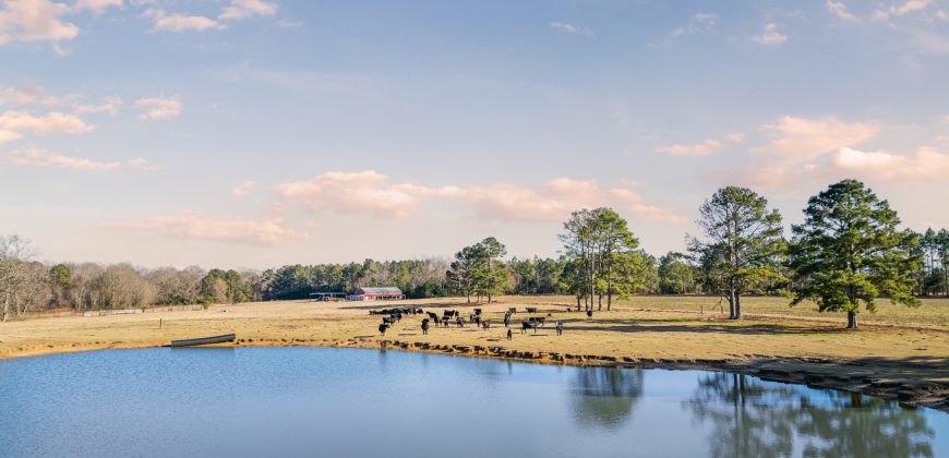 Terrell County Red Barn Farm