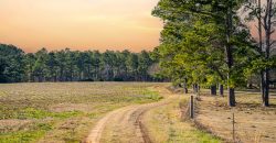 Terrell County Red Barn Farm