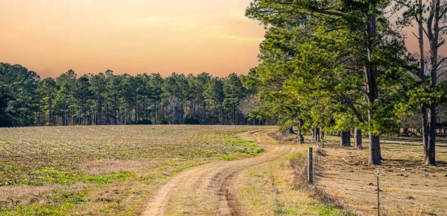 Terrell County Red Barn Farm