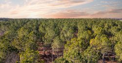 Terrell County Red Barn Farm