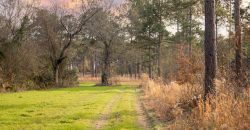 Terrell County Red Barn Farm