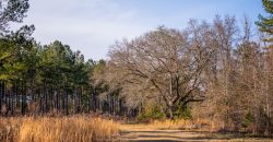 Terrell County Red Barn Farm