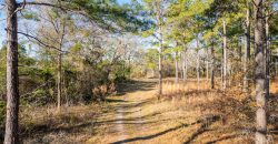 Terrell County Red Barn Farm