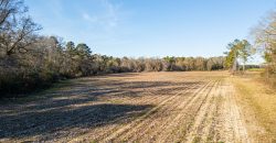 Terrell County Red Barn Farm