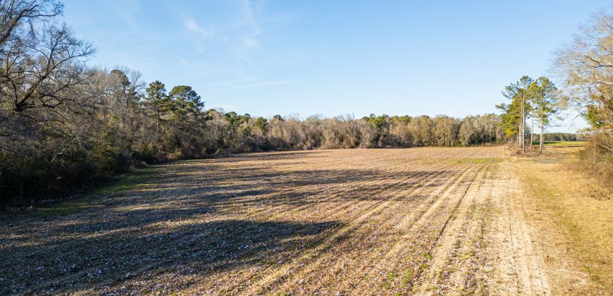 Terrell County Red Barn Farm