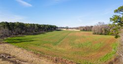 Terrell County Red Barn Farm