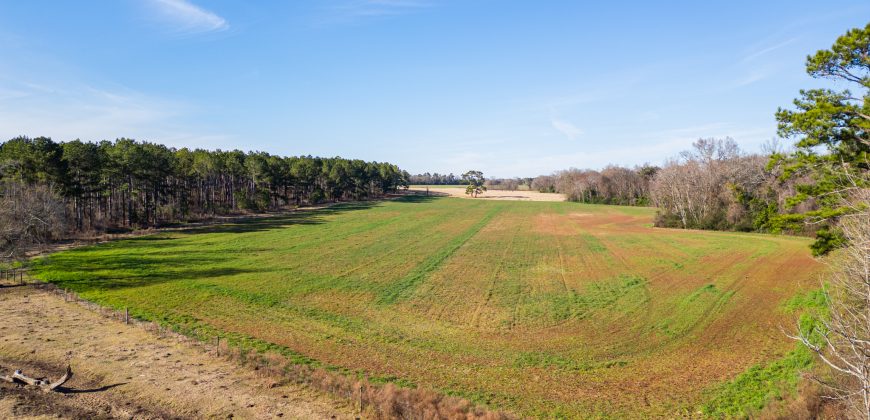 Terrell County Red Barn Farm