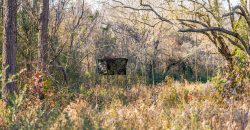 Terrell County Red Barn Farm