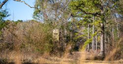 Terrell County Red Barn Farm