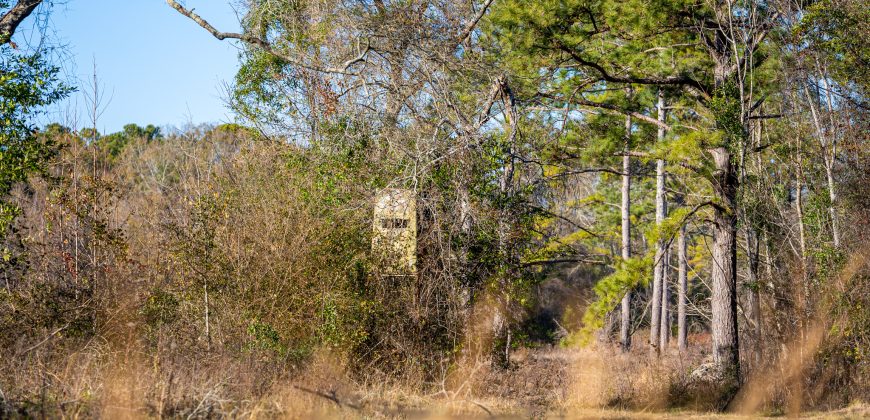 Terrell County Red Barn Farm