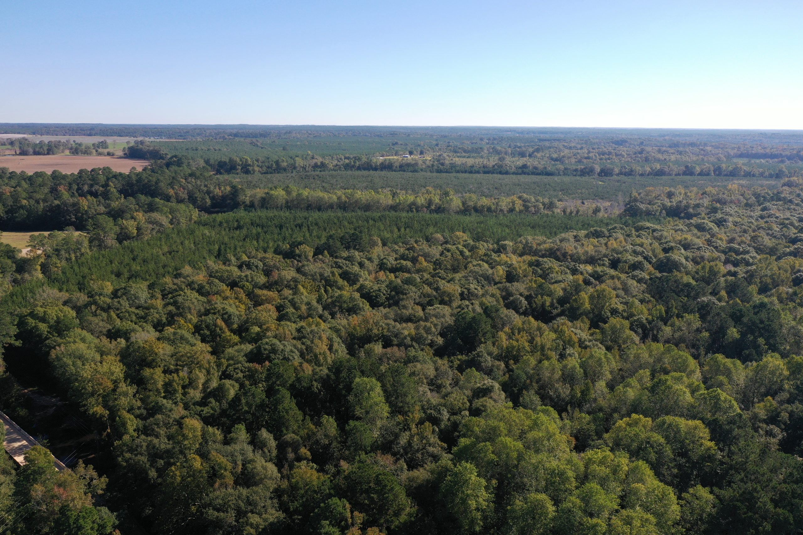 Dodge County Pine Level Farm