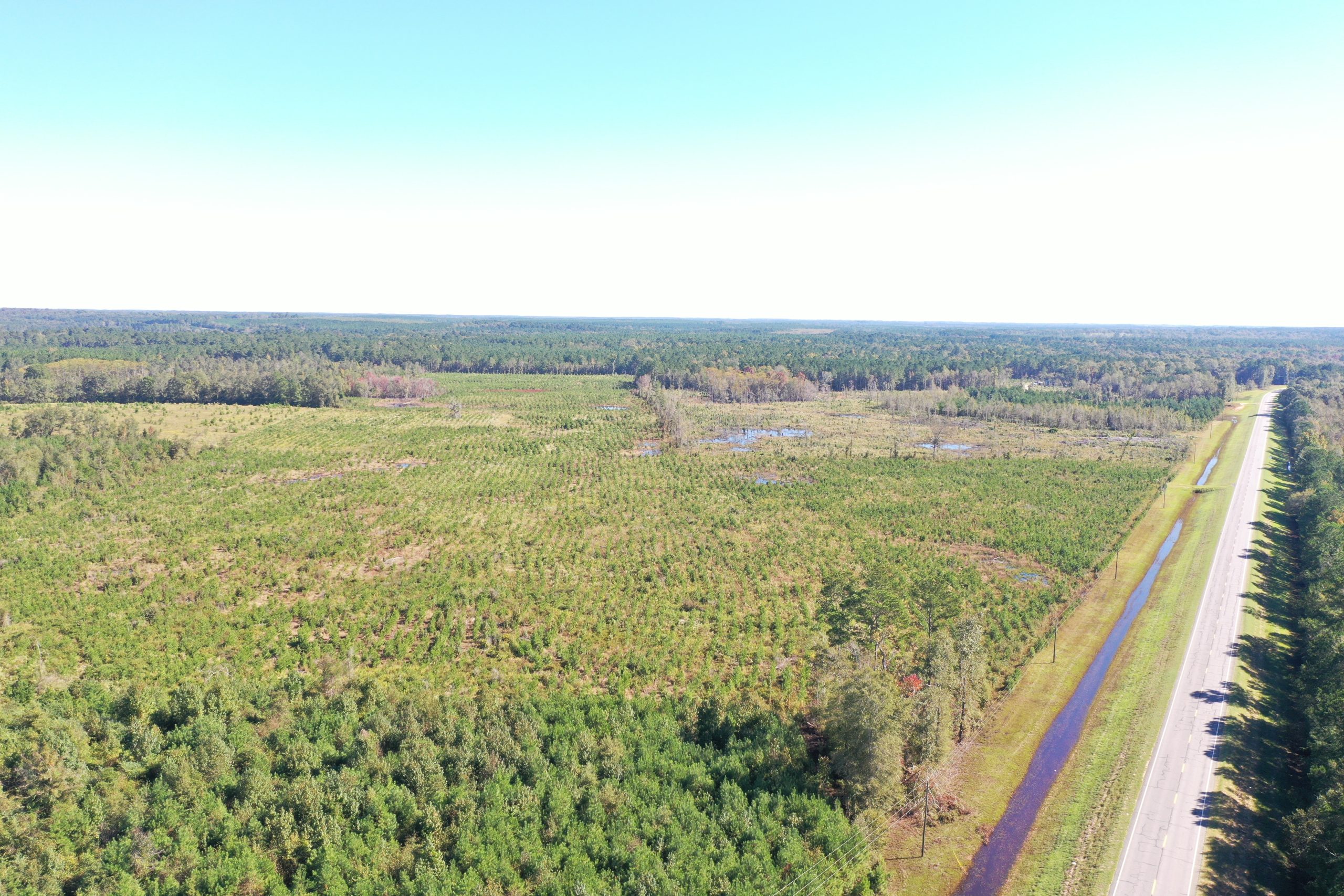 Dodge County Abbeville Farm