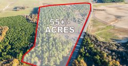 Pulaski 55+- Acres